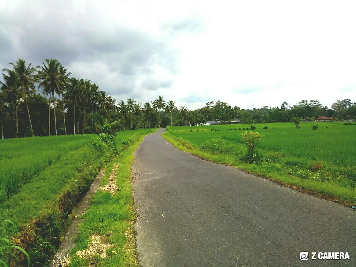 Villa Amara Giri 1 Ubud 0*,
