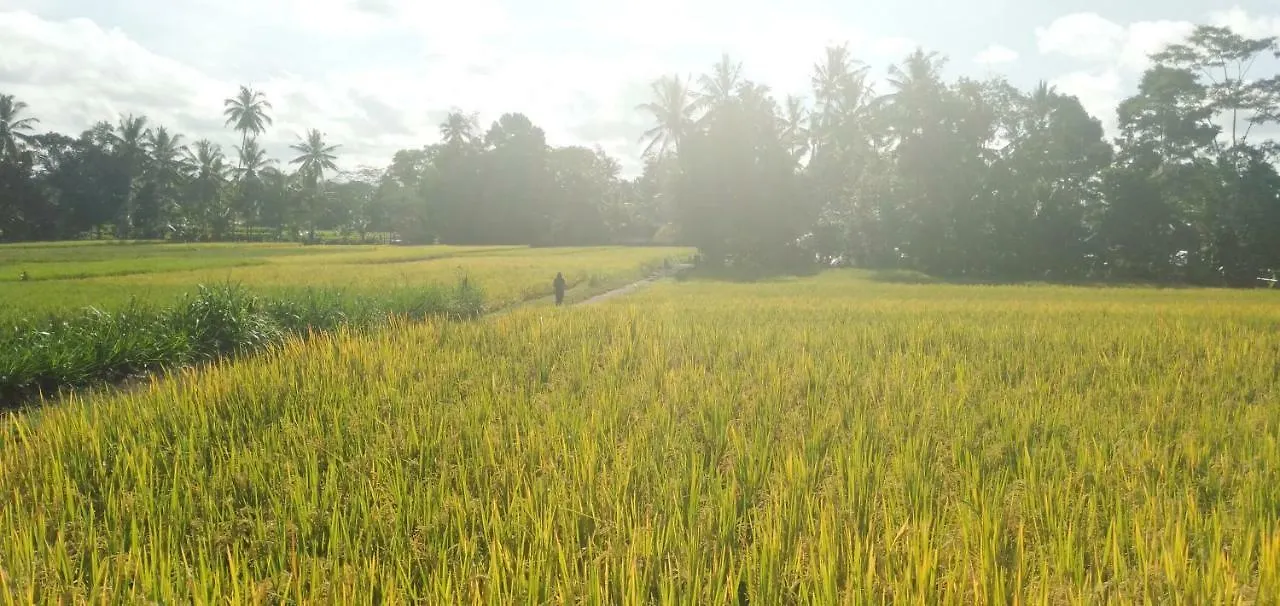 Villa Amara Giri 1 Ubud